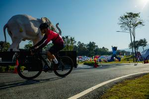 BIB: 
                            <button type="button" onclick="openModal(26182987)" class="btn btn-primary btn-sm float-right btn-popup" data-toggle="modal" data-target=".modal-high-quality">
                        <i class="fas fa-shopping-cart"></i> Add to Cart
                    </button>
                                            <button type="button" onclick="isThisMe(26182987, true)" class="btn btn-success btn-sm float-right btn-popup btn-isme hidden" data-toggle="tooltip" data-placement="bottom" title="นี่คือรูปของคุณใช่ไหม คลิกที่นี่เพื่อเอาเข้าอัลบั้ม">
                        <i class="fas fa-plus"></i> Add to album
                    </button>
                    <button type="button" onclick="isThisMe(26182987, false)" class="btn btn-warning btn-sm float-right btn-popup btn-isnotme hidden">
                        <i class="fas fa-ban"></i> Remove from album
                    </button>